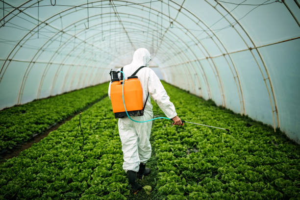 Best Affordable Pest Control Services  in Indian Harbour Beach, FL