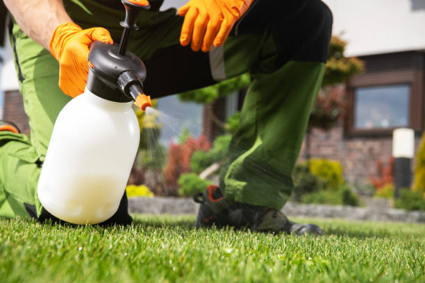 Best Emergency Pest Control  in Indian Harbour Beach, FL