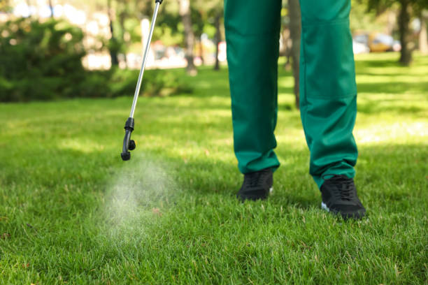 Reliable Indian Harbour Beach, FL Pest Control Solutions