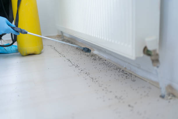 Best Pest Prevention Services  in Indian Harbour Beach, FL