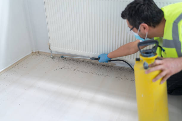 Best Residential Pest Control  in Indian Harbour Beach, FL