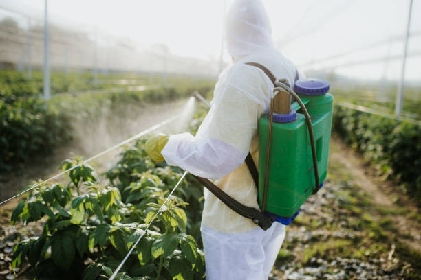 Best Bed Bug Extermination  in Indian Harbour Beach, FL
